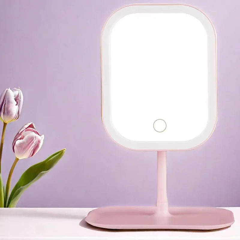 LED Vanity Mirror with 3-Colour Lighting